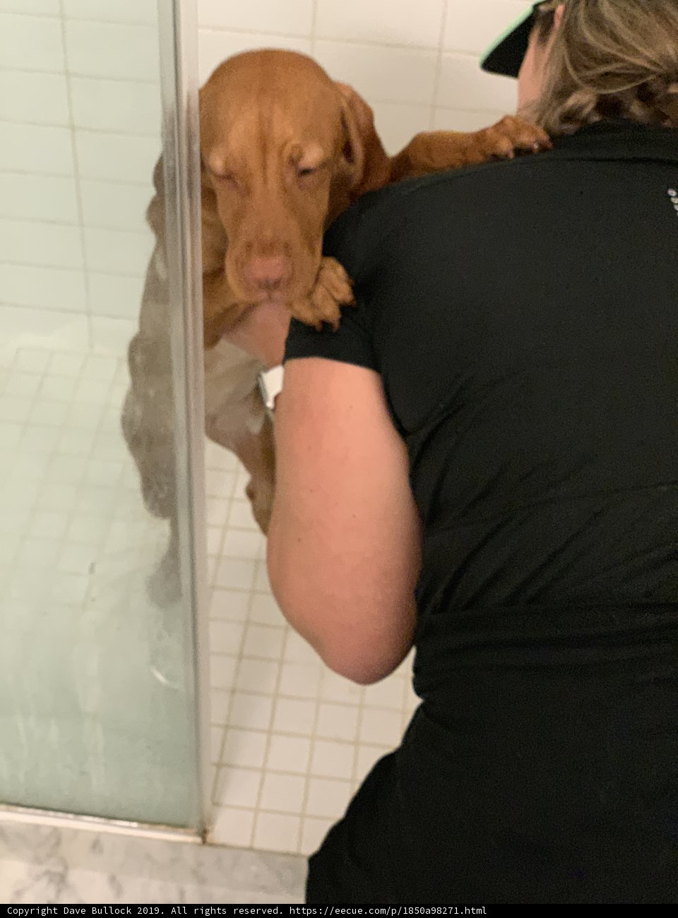 Shower Time With My Furry Bestie