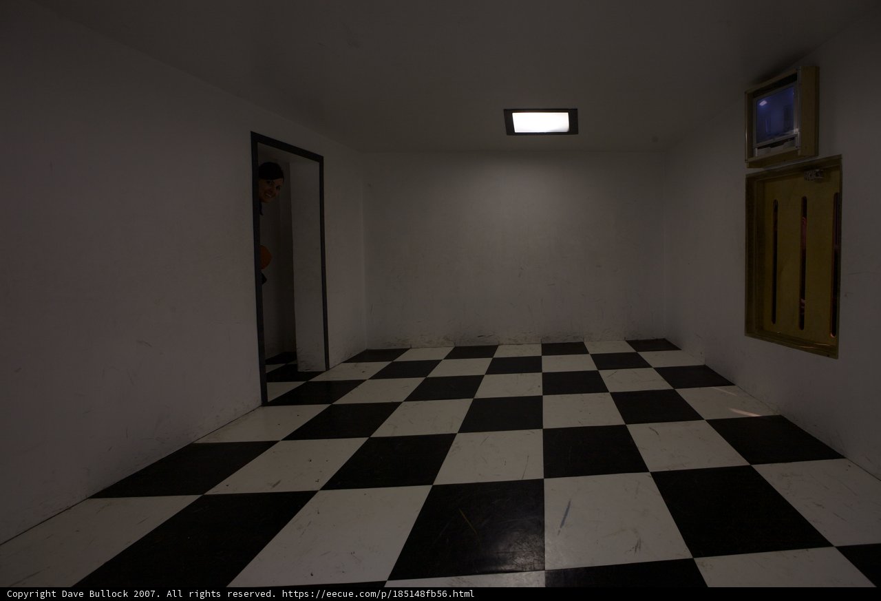 Checkered Floor in a Modern Living Room