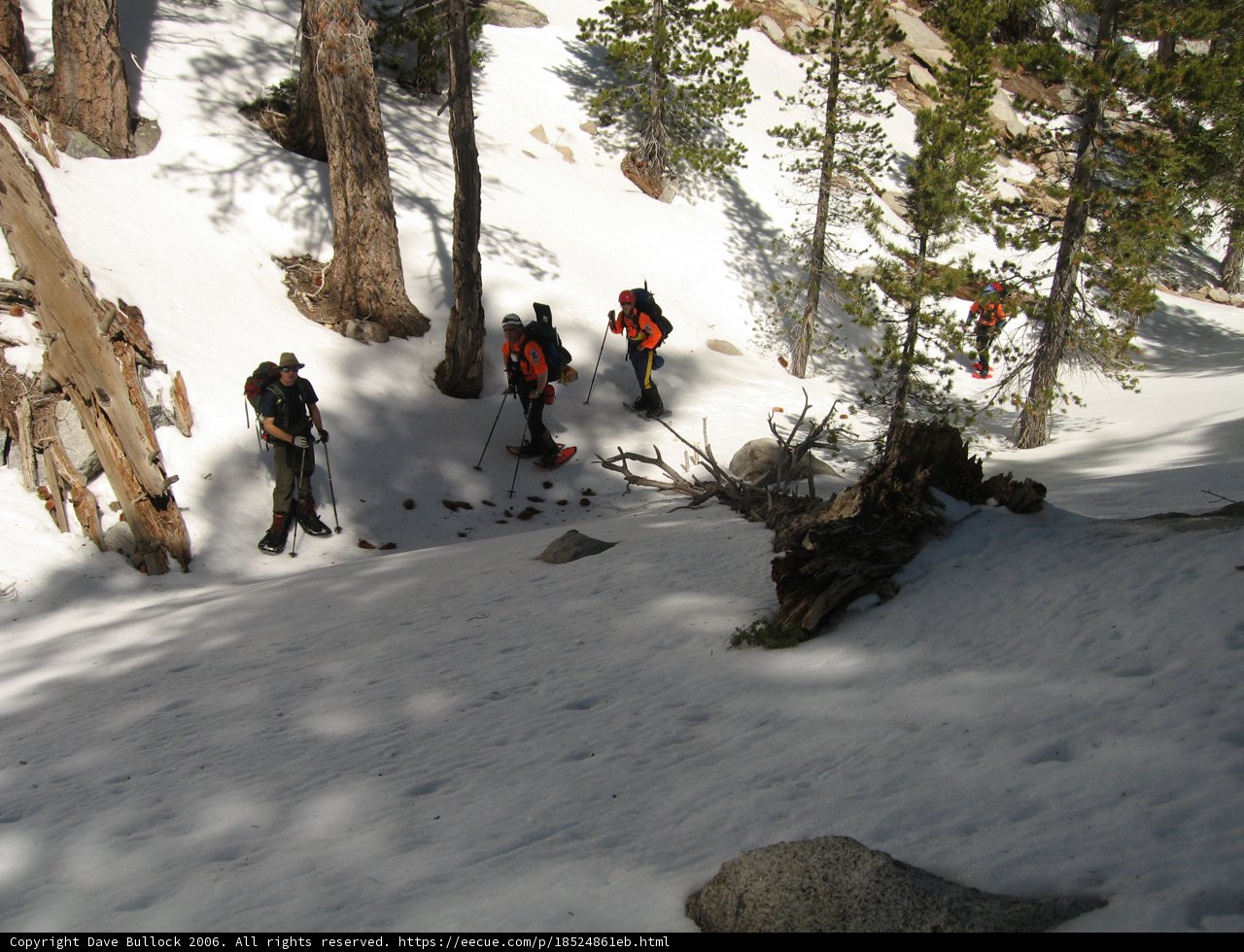 Snowy Adventure with Friends