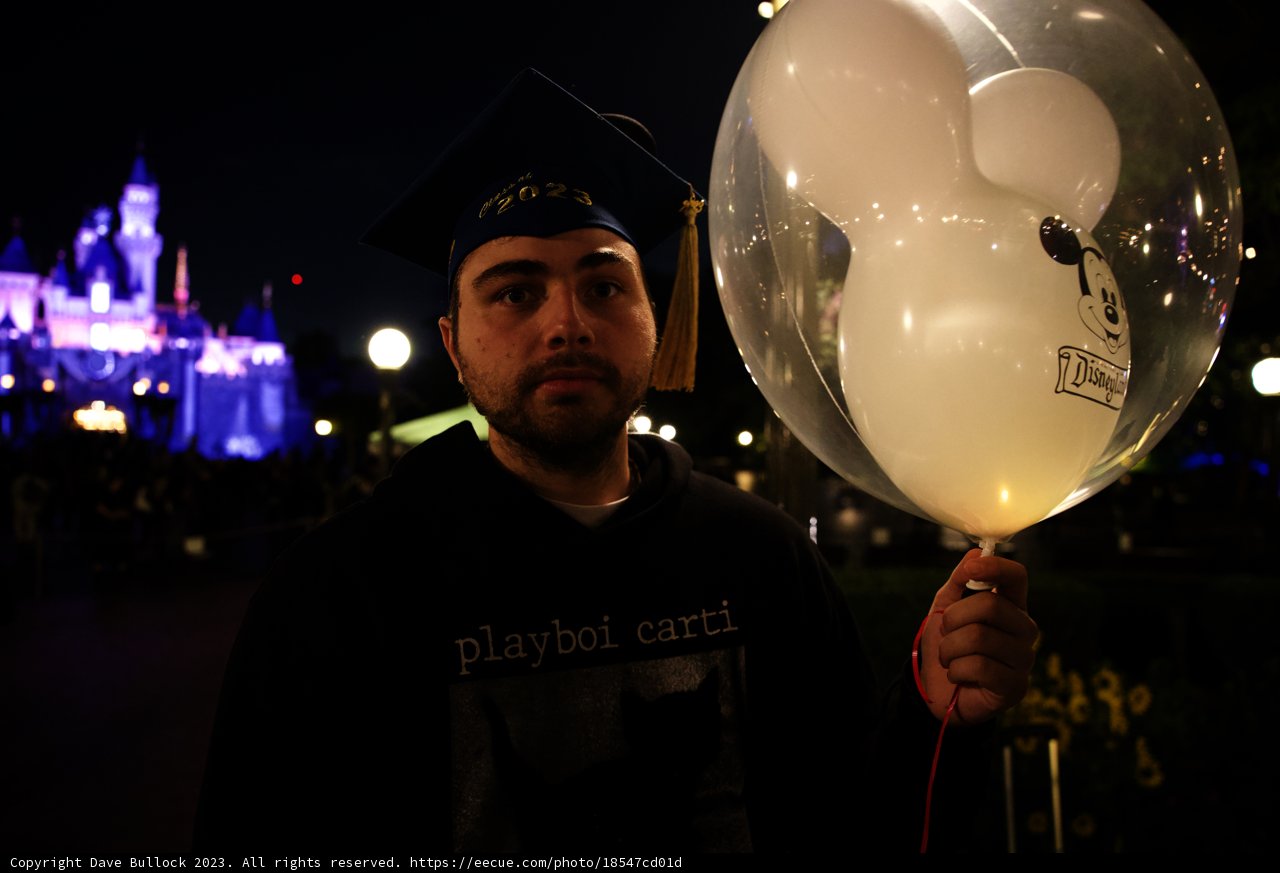 Magical Moments at Disneyland