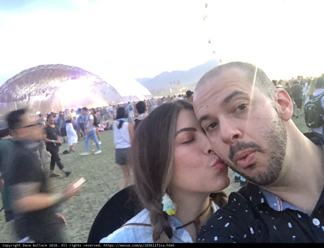 Music Festival Selfie Lovebirds