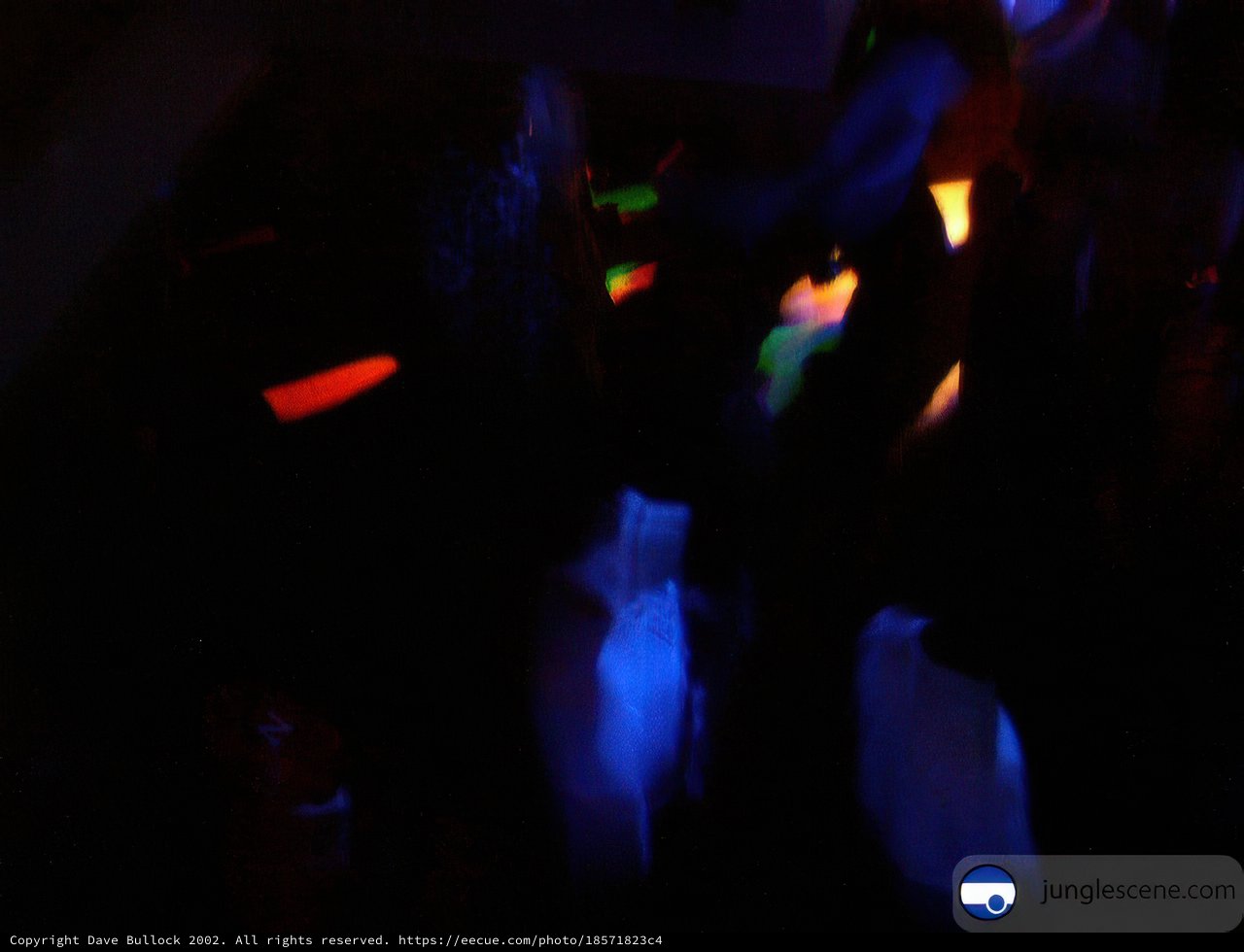 Nightclub Disco Fever