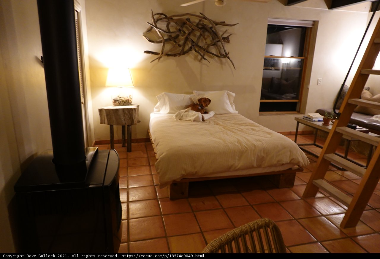 Cozy Canine Naps on Hardwood Bed Flooring