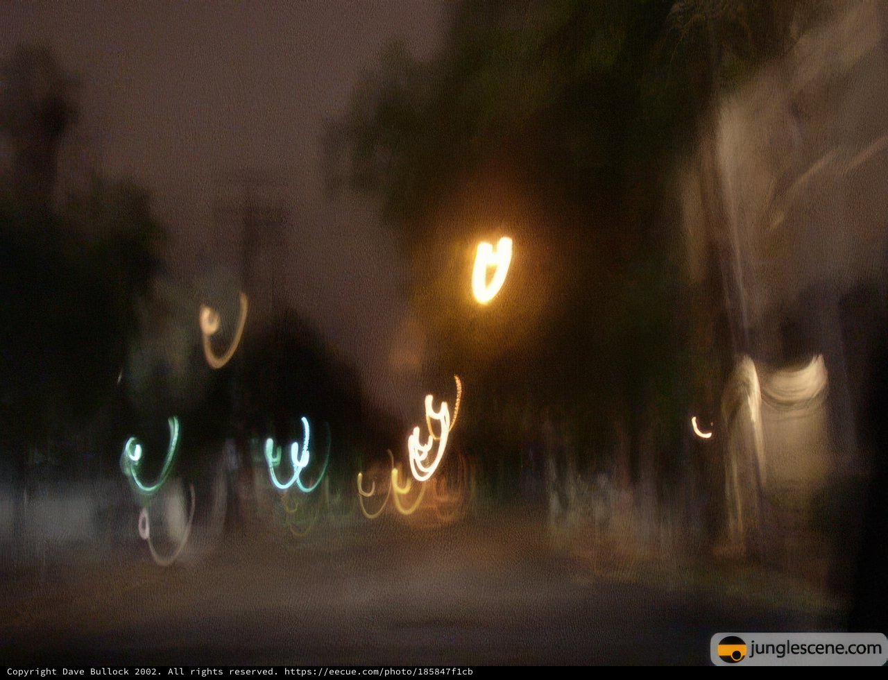 Illuminating the Night Sky