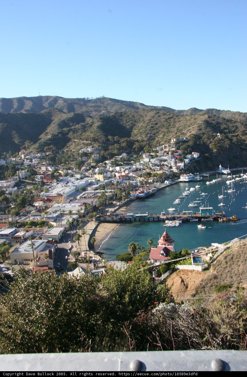 Aerial View of Newfoundland's Harbor
