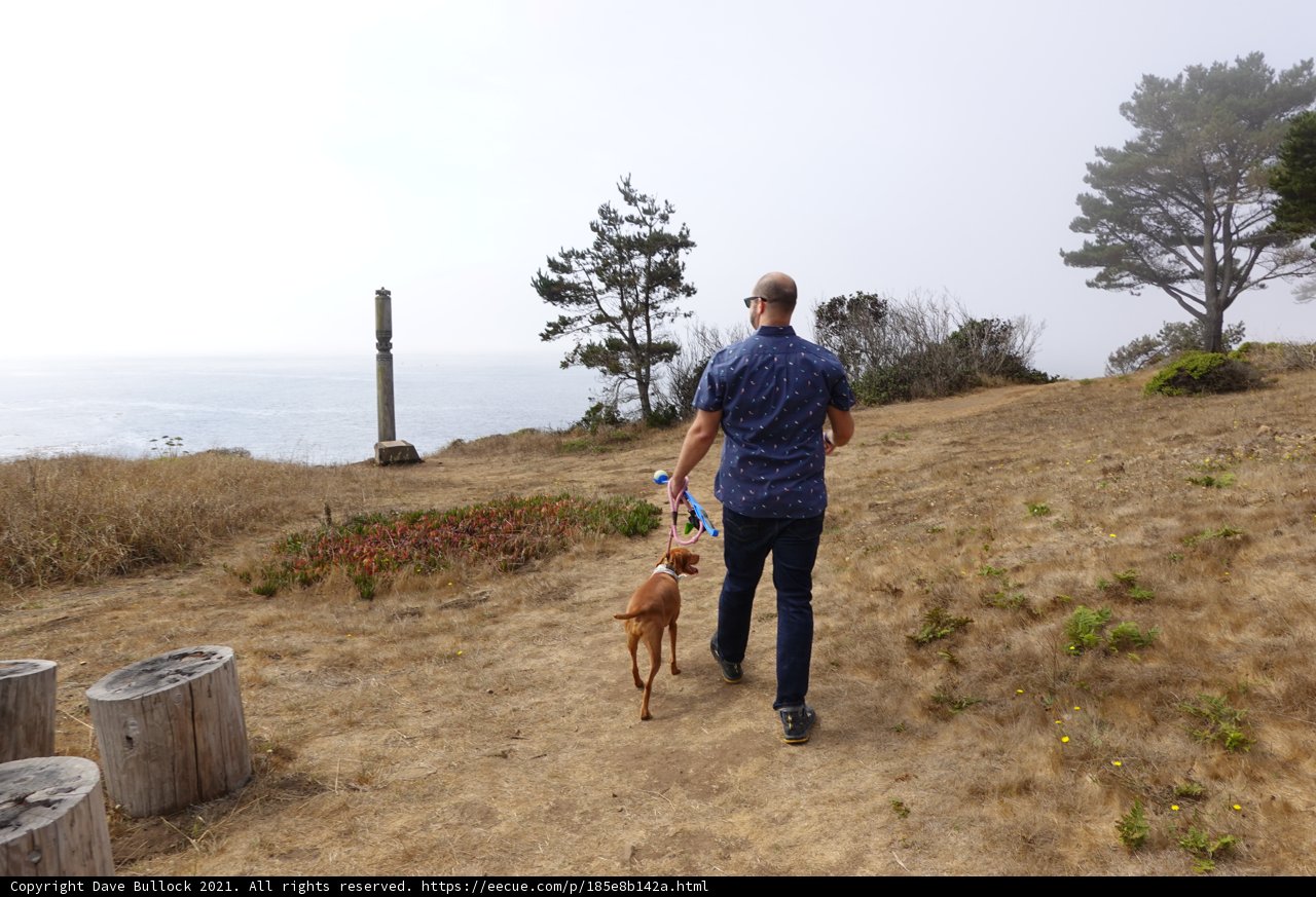 Man and Dog Take a Stroll in Nature