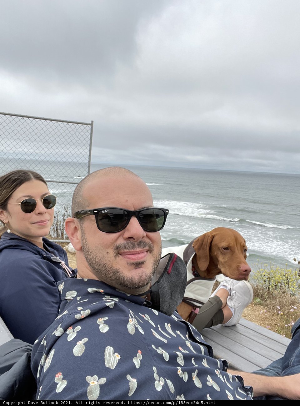 Coastal Companions