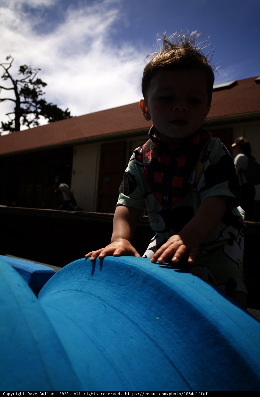 Summer Adventure at Bay Area Discovery Museum