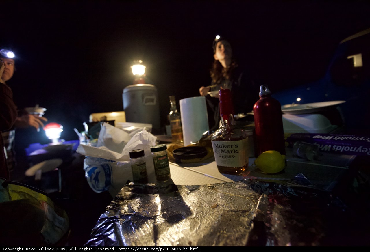 Campfire Cooking Under the Stars