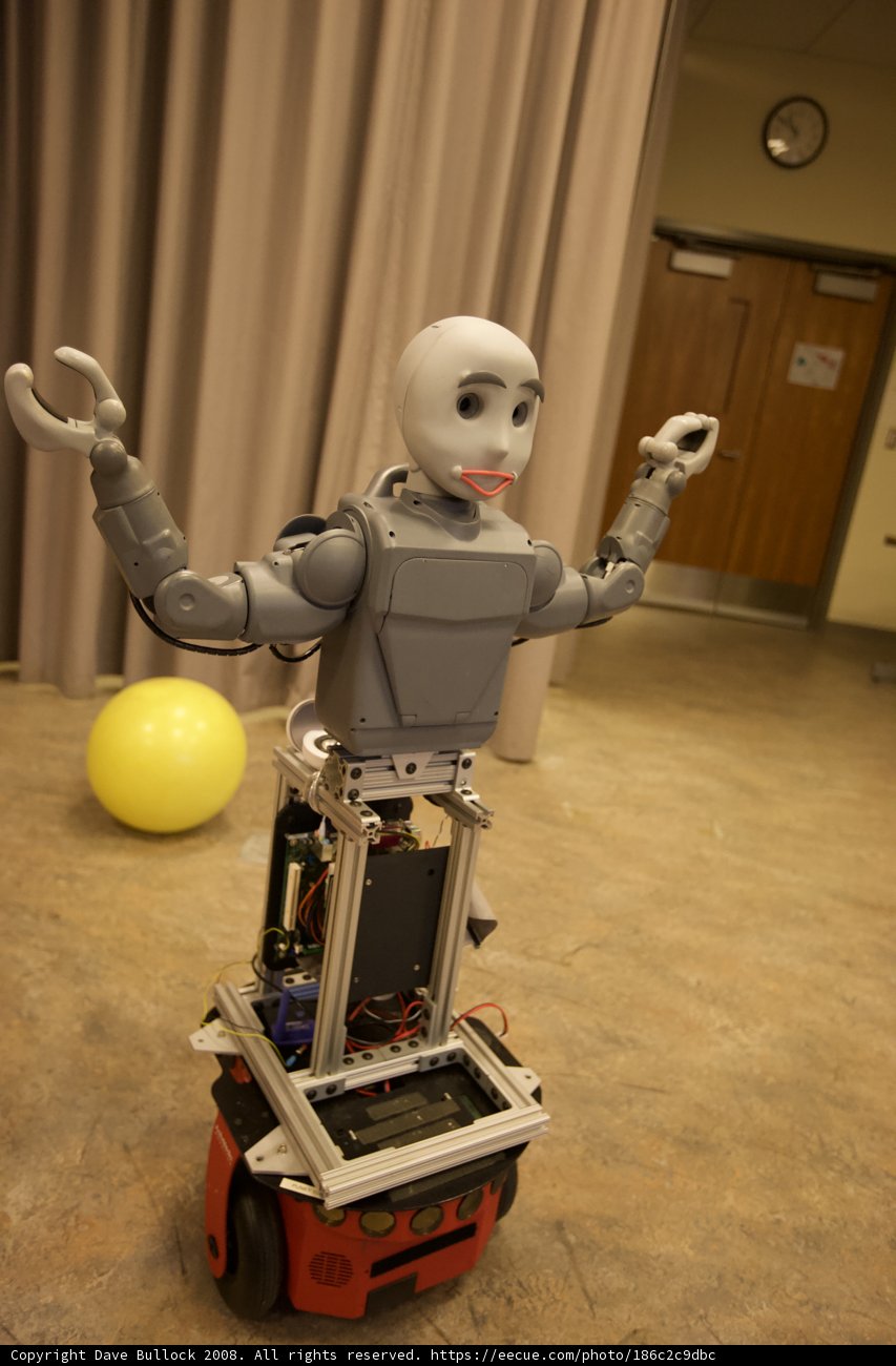The Robot and the Ball