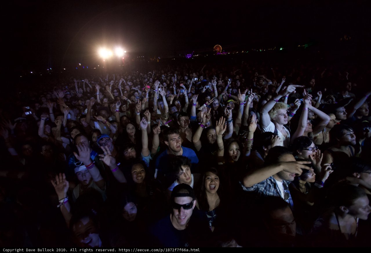 A Raving Crowd