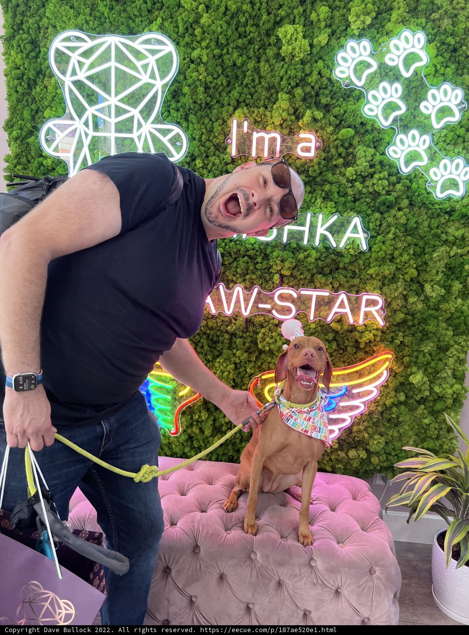 Man and Dog Neon Adventure