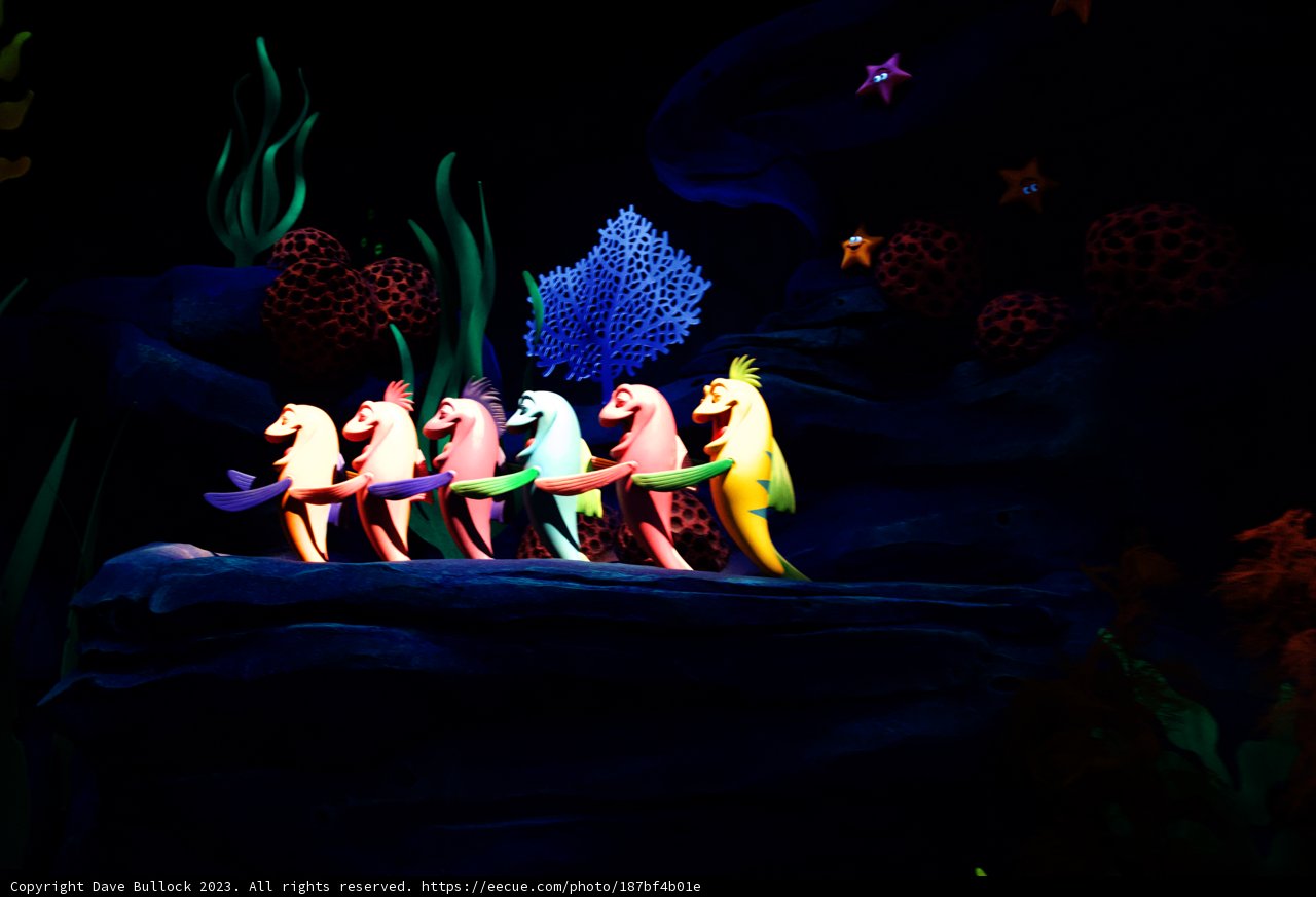 Magical Encounter with The Little Mermaid in Disneyland