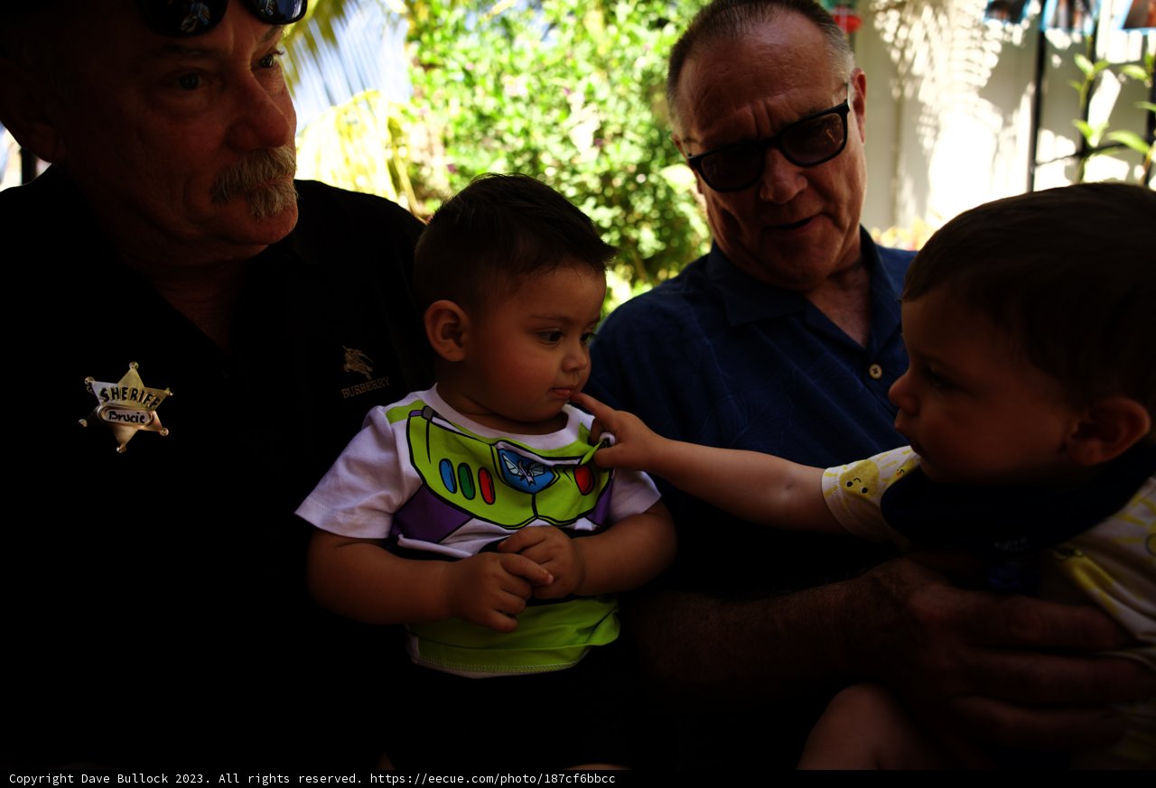 Celebrating Life Across Generations