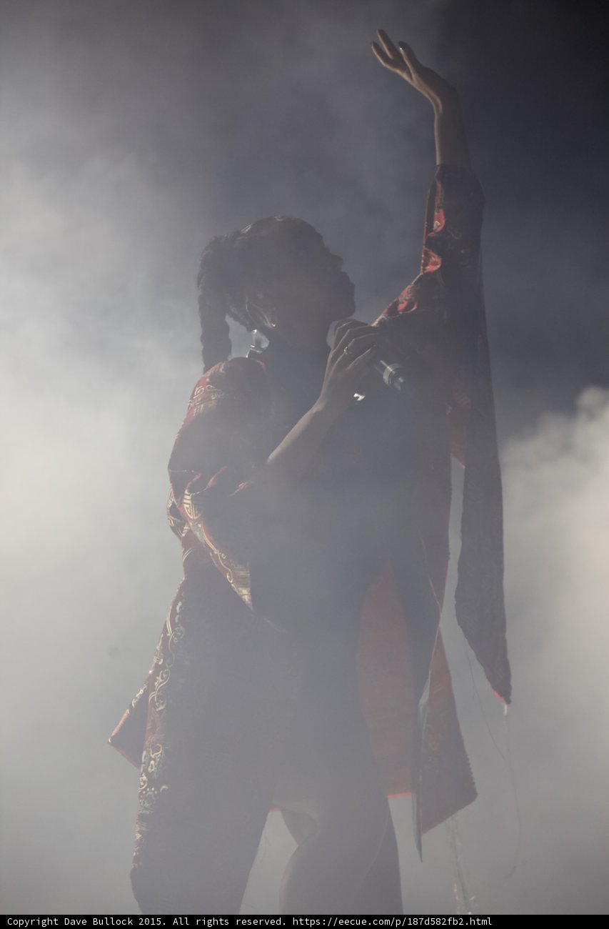 FKA twigs Beautiful Silhouette Arm Raised Elegant Extended Hand Singing Red Brocade Kimono Hoop Earrings Braided Ponytails