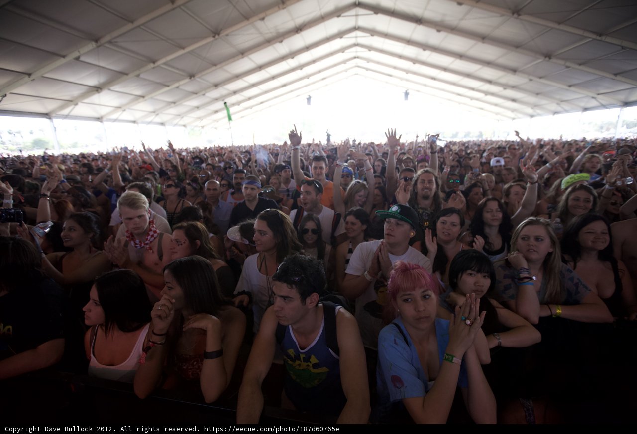 Coachella 2012: A Sea of People at the Concert