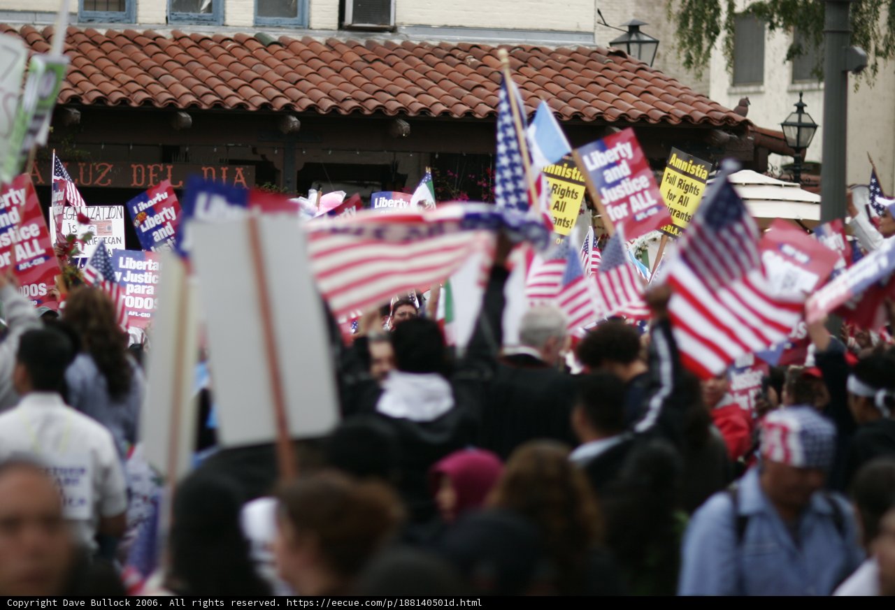 Patriotic Protestors