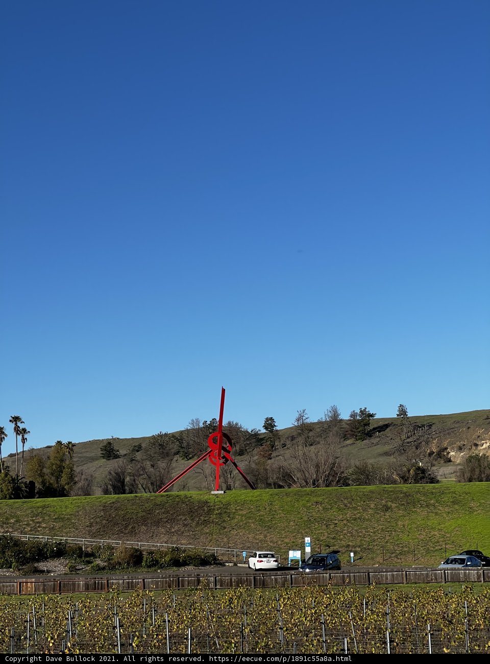 Soaring Above the Fields