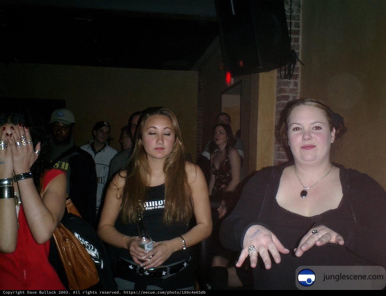 Nightclub Gathering