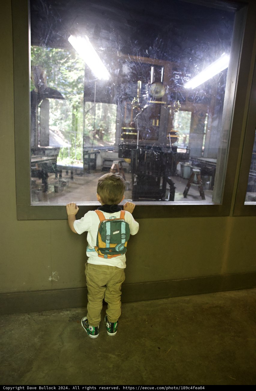 Childhood Wonder at the Tilden Steam Trains