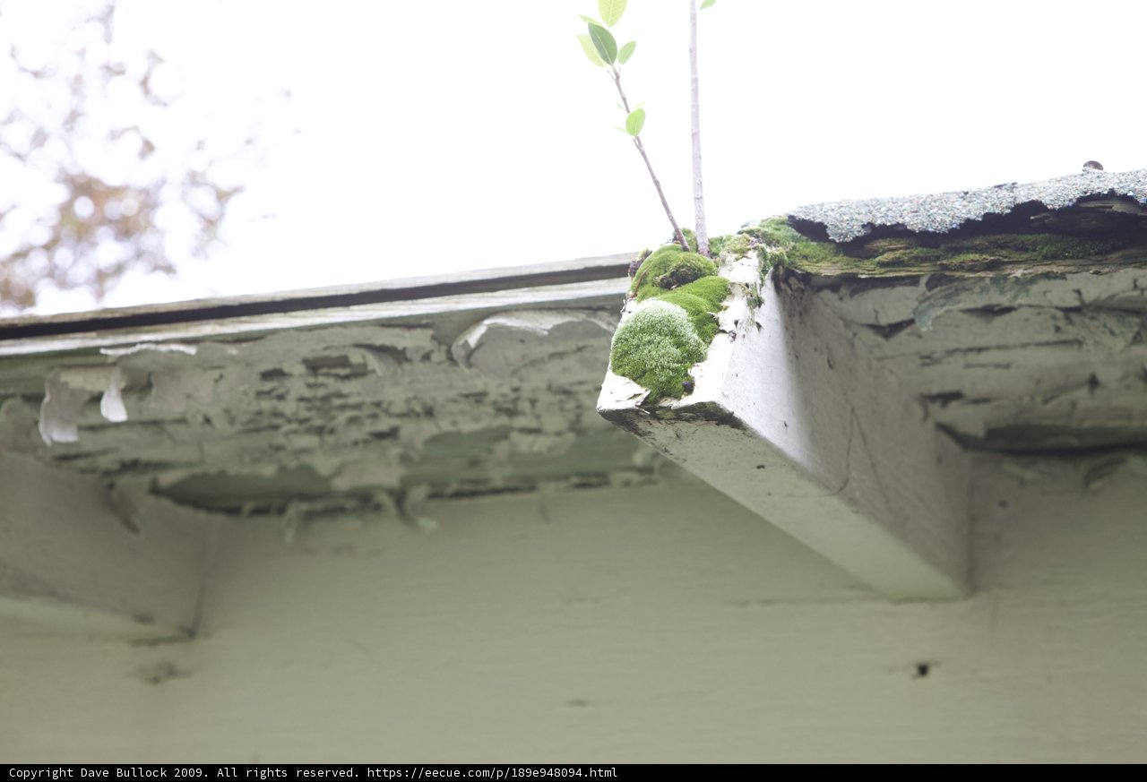 Nature Takes Over