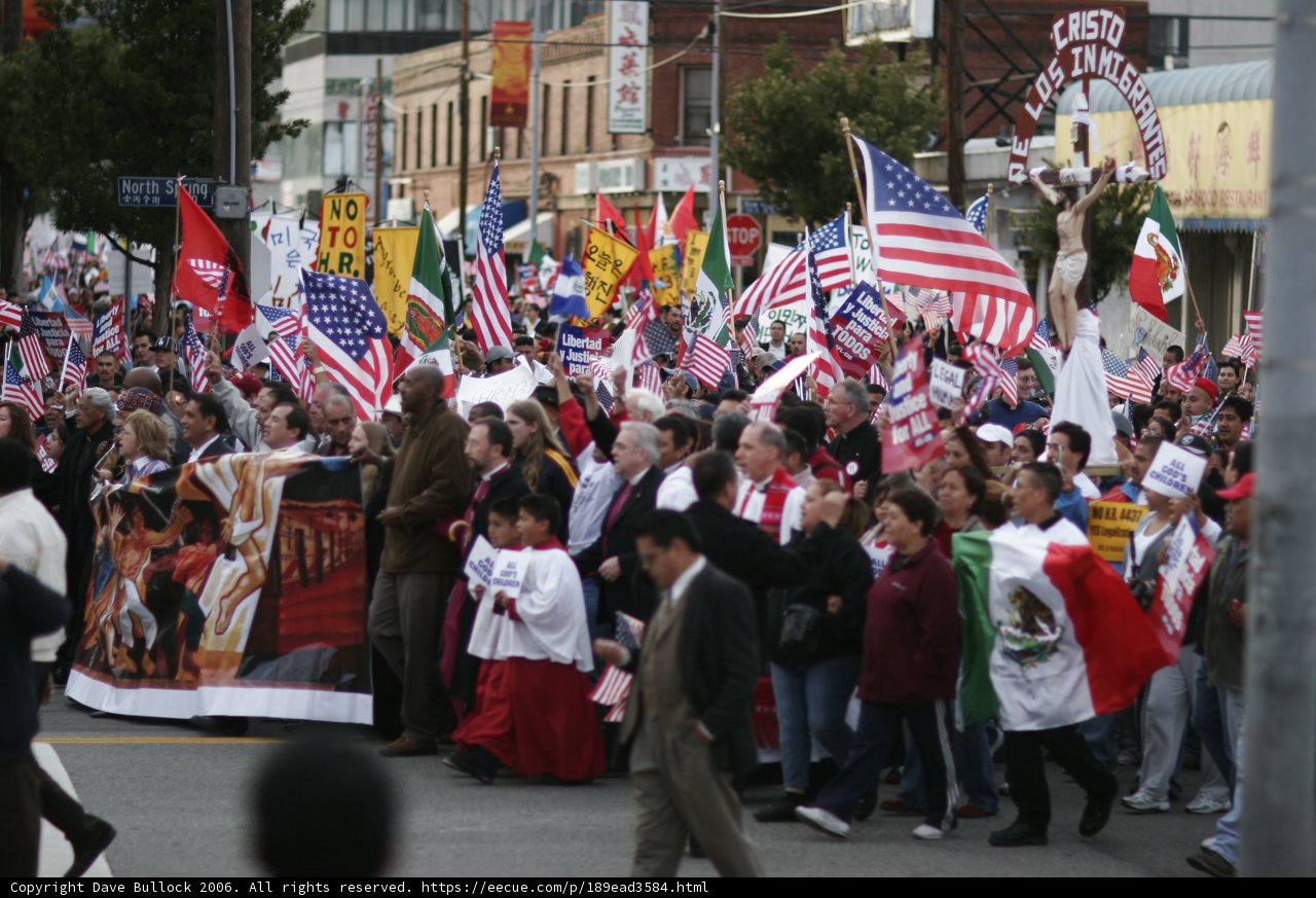 Unity in Diversity
