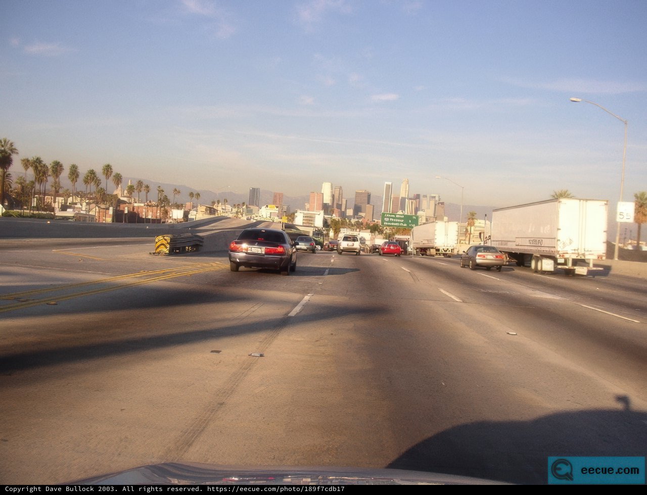 Rush Hour in the Urban Jungle