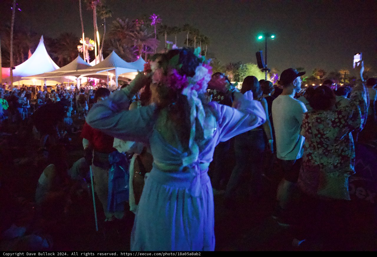 Enchanted Evenings: A Snapshot from Coachella 2024