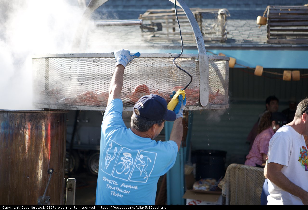Washing up after the Lobster Festival