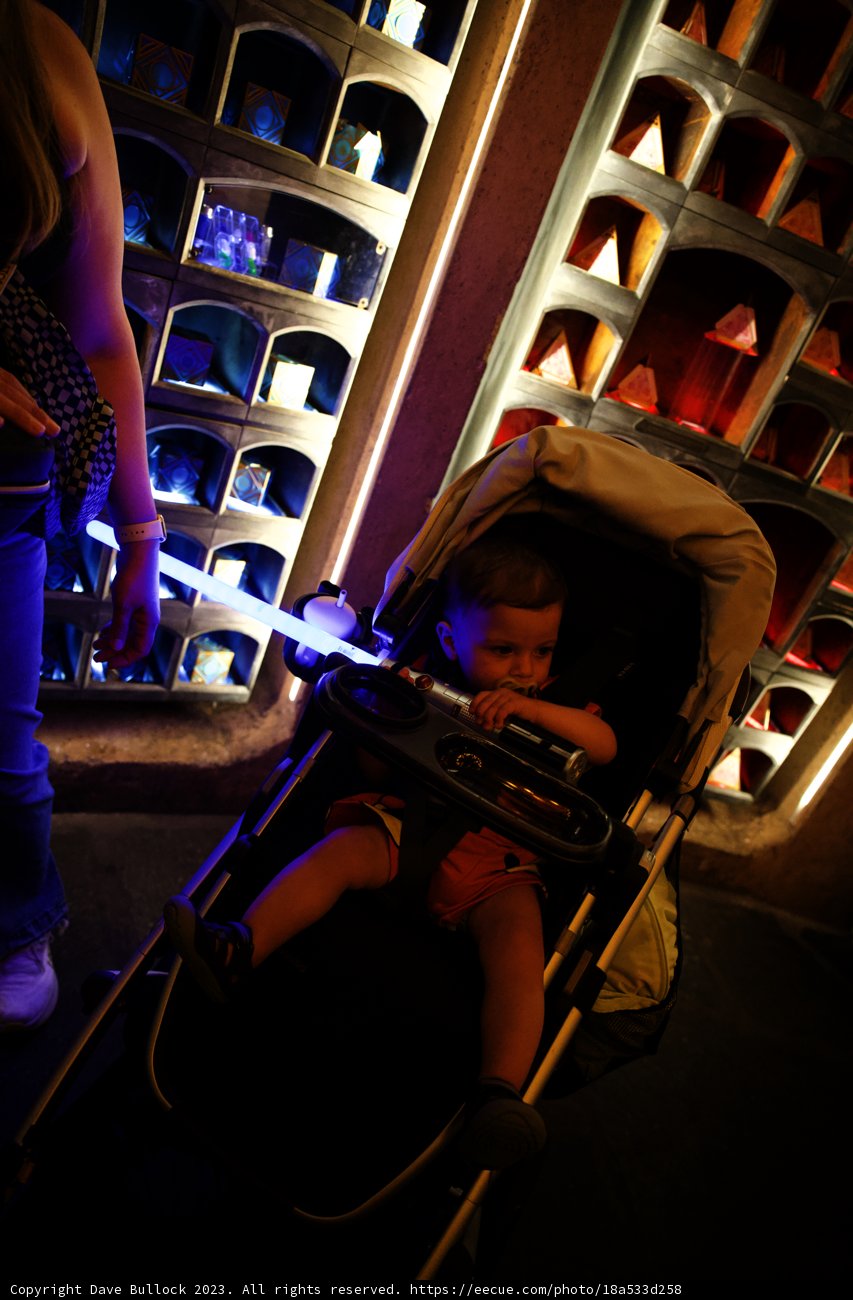 Wesley's Disneyland Adventure