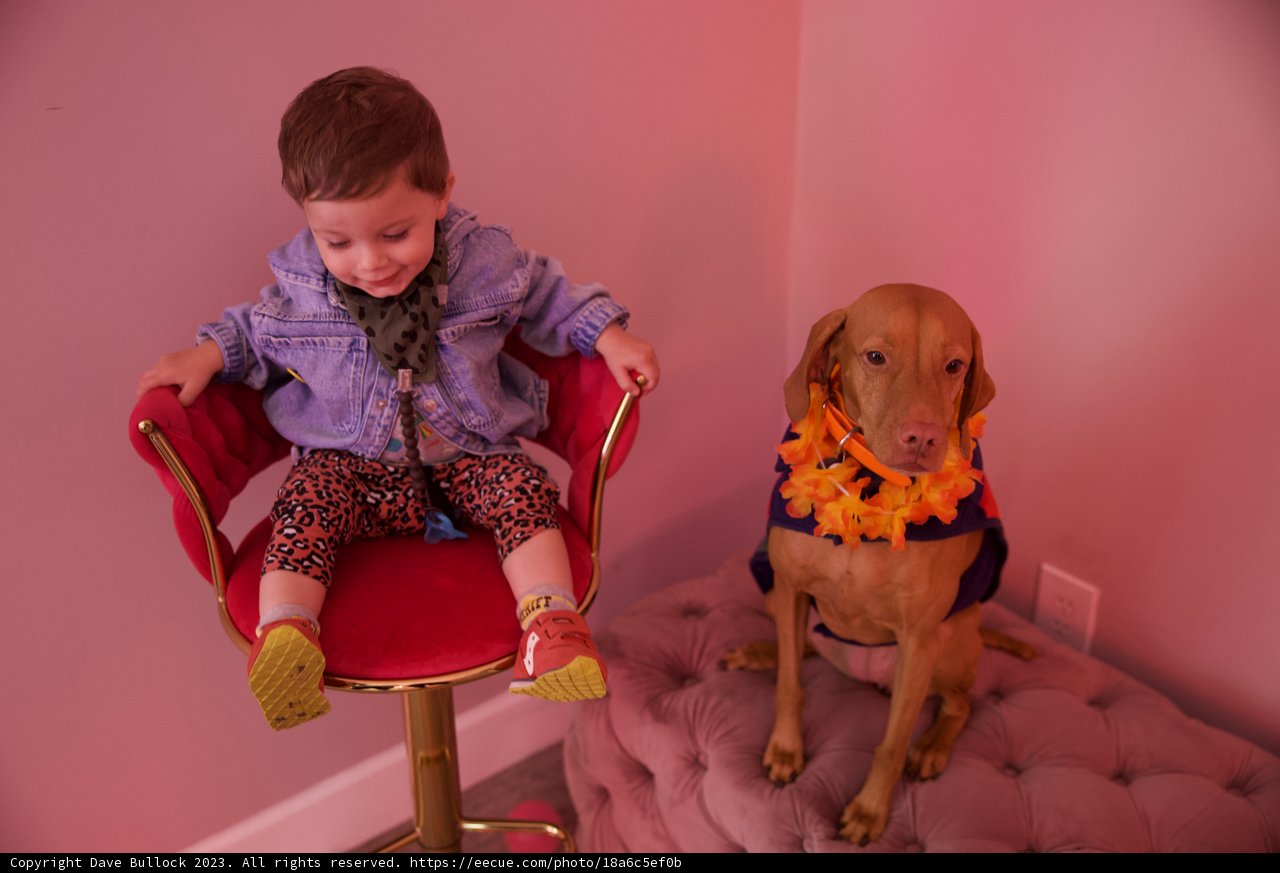An Unforgettable Bond: Wesley's 5th Birthday Celebration