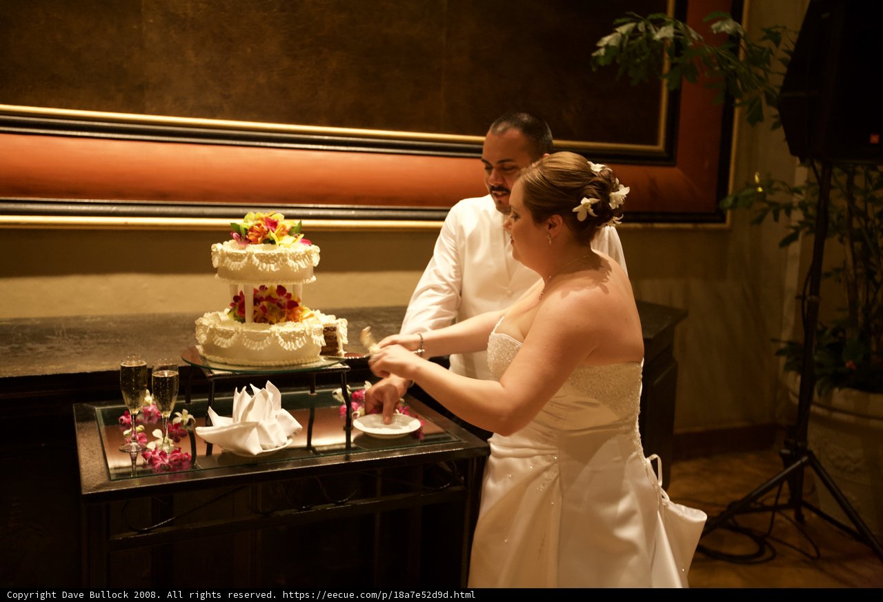 Cutting the Wedding Cake in Hawaii