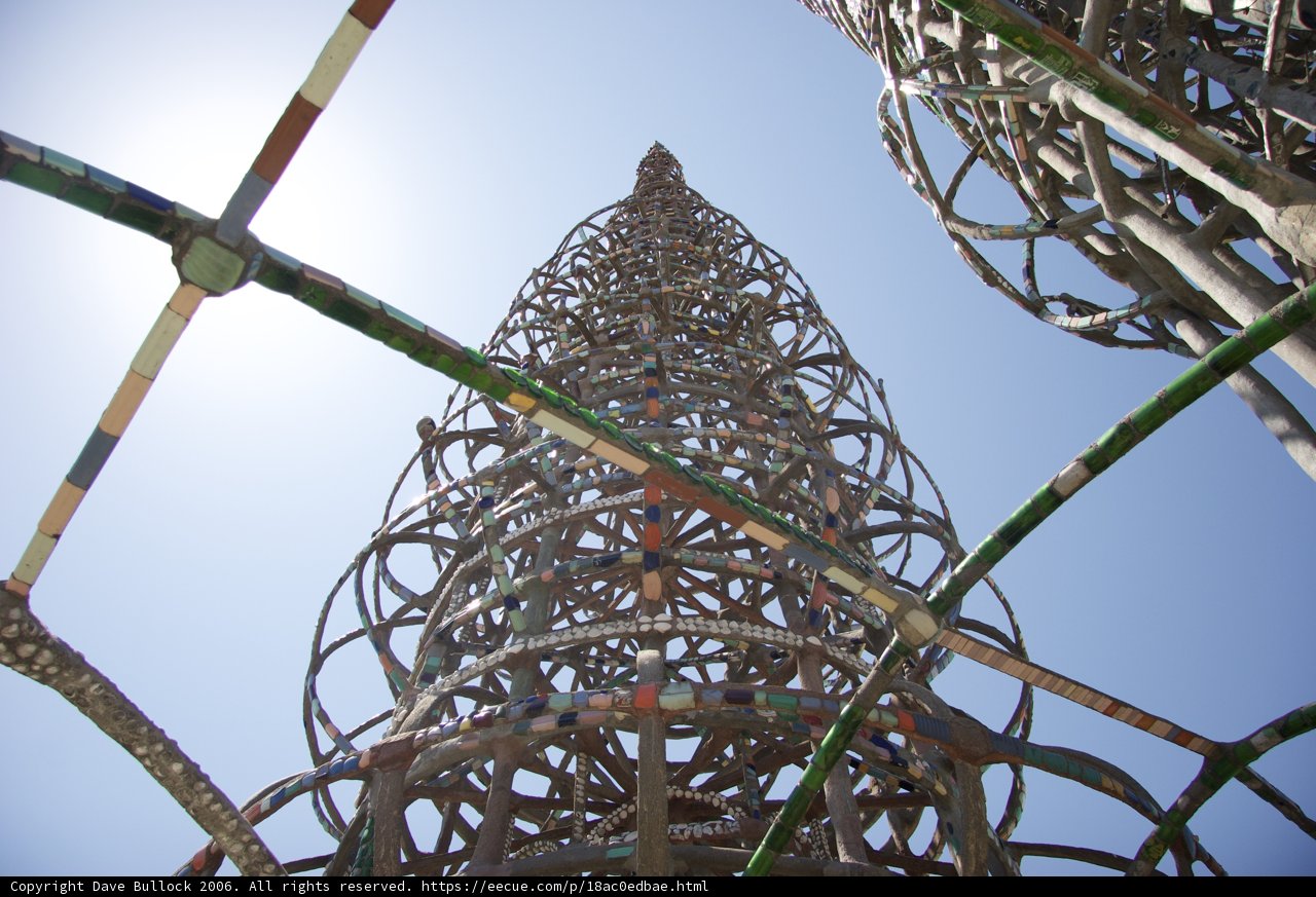Towering Fun in the Amusement Park