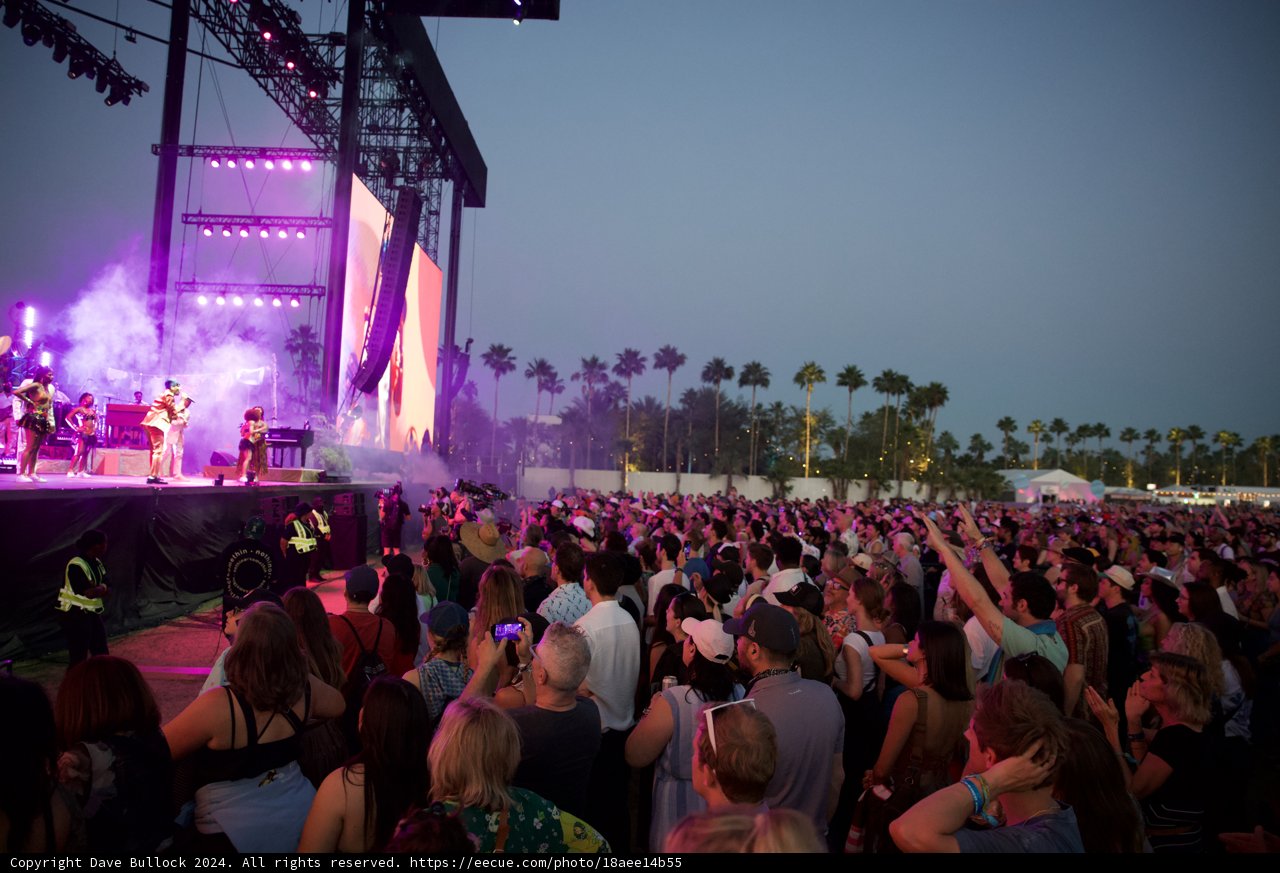 Electric Nights at Coachella 2024