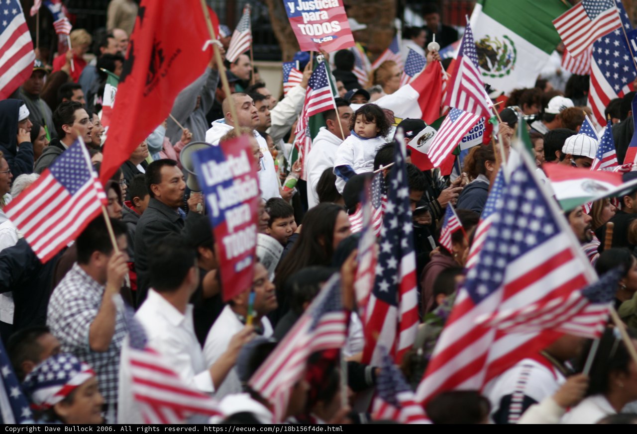 Patriotic Crowd