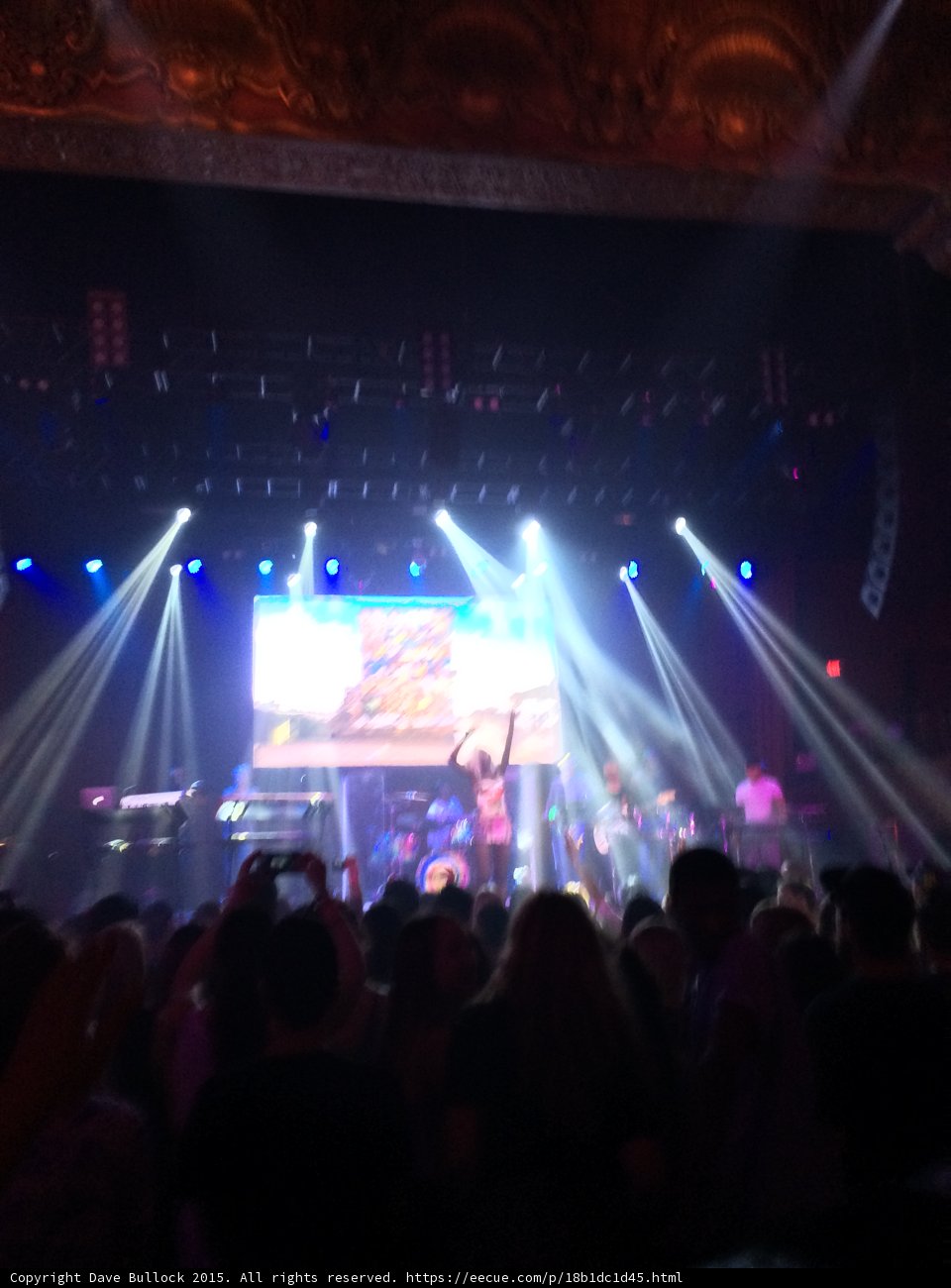 Spotlight on the Crowd