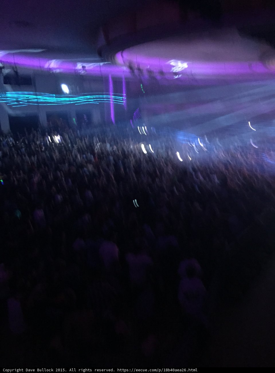 Purple Haze Nightlife