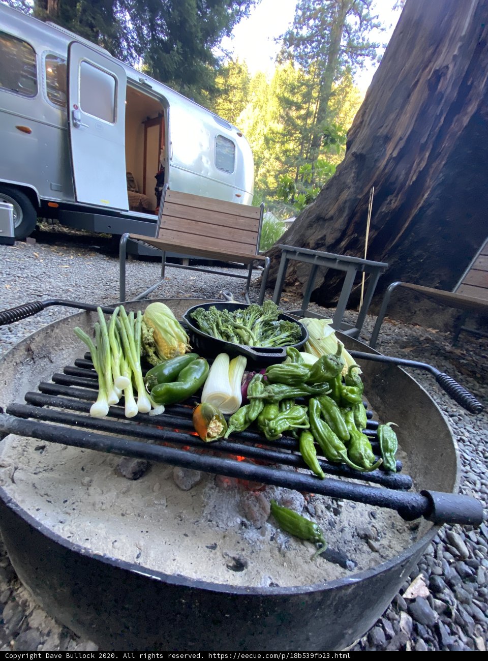 Grilling on the Go