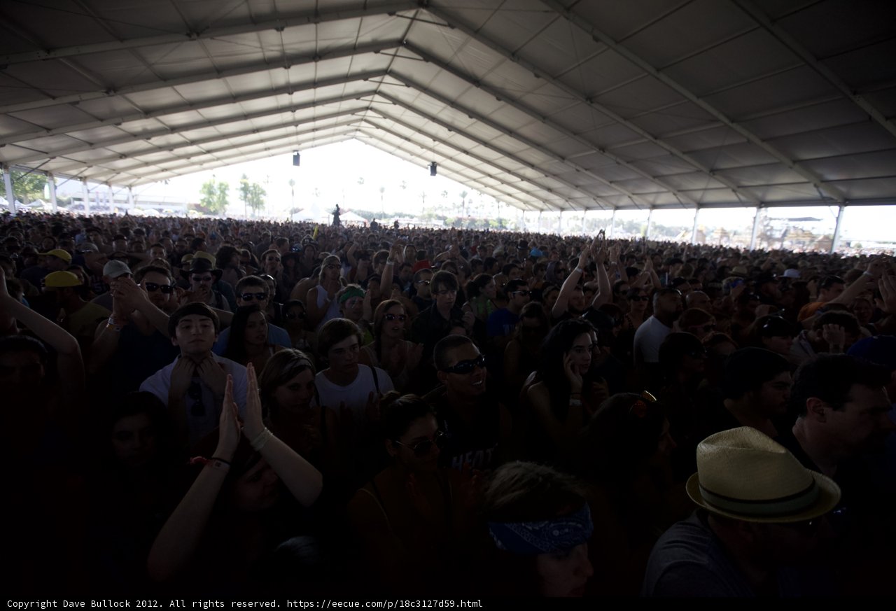 The Exciting Crowd at Coachella 2012