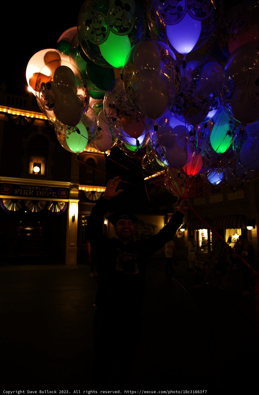 Magical Balloon Tree Encounter at Disneyland