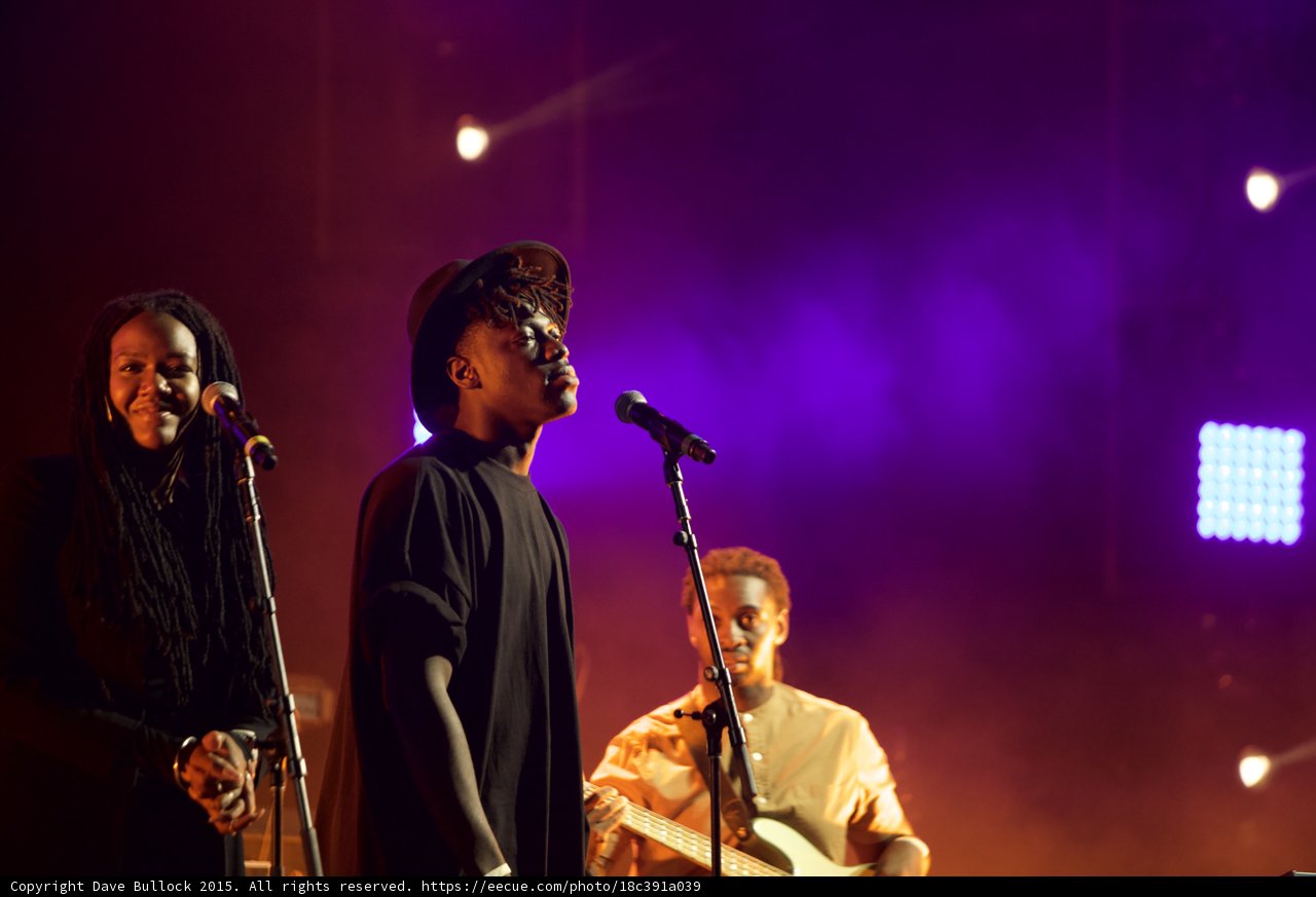 Solange Band Vocalist Hat Singing Dreadlocks Backing Vocalist Bassist Purple