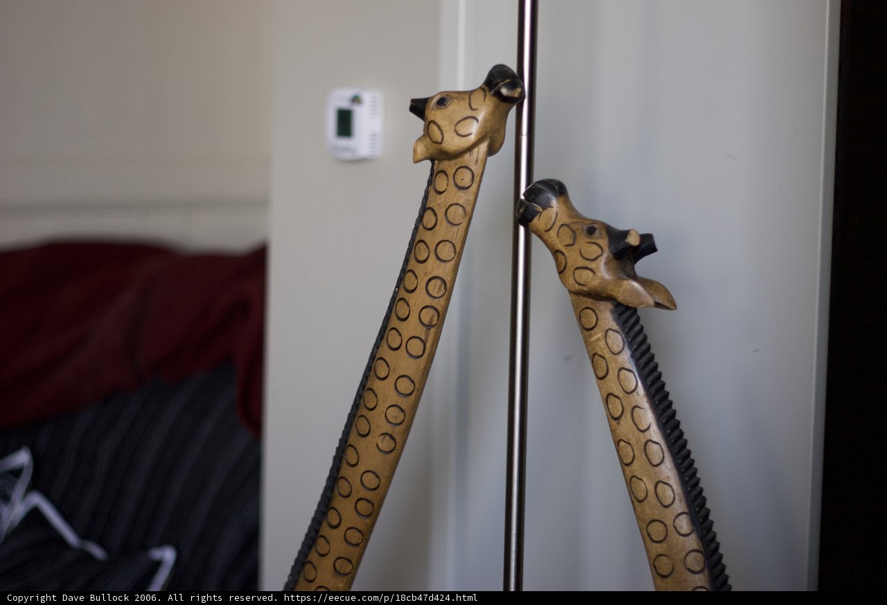 Giraffe House of Swords