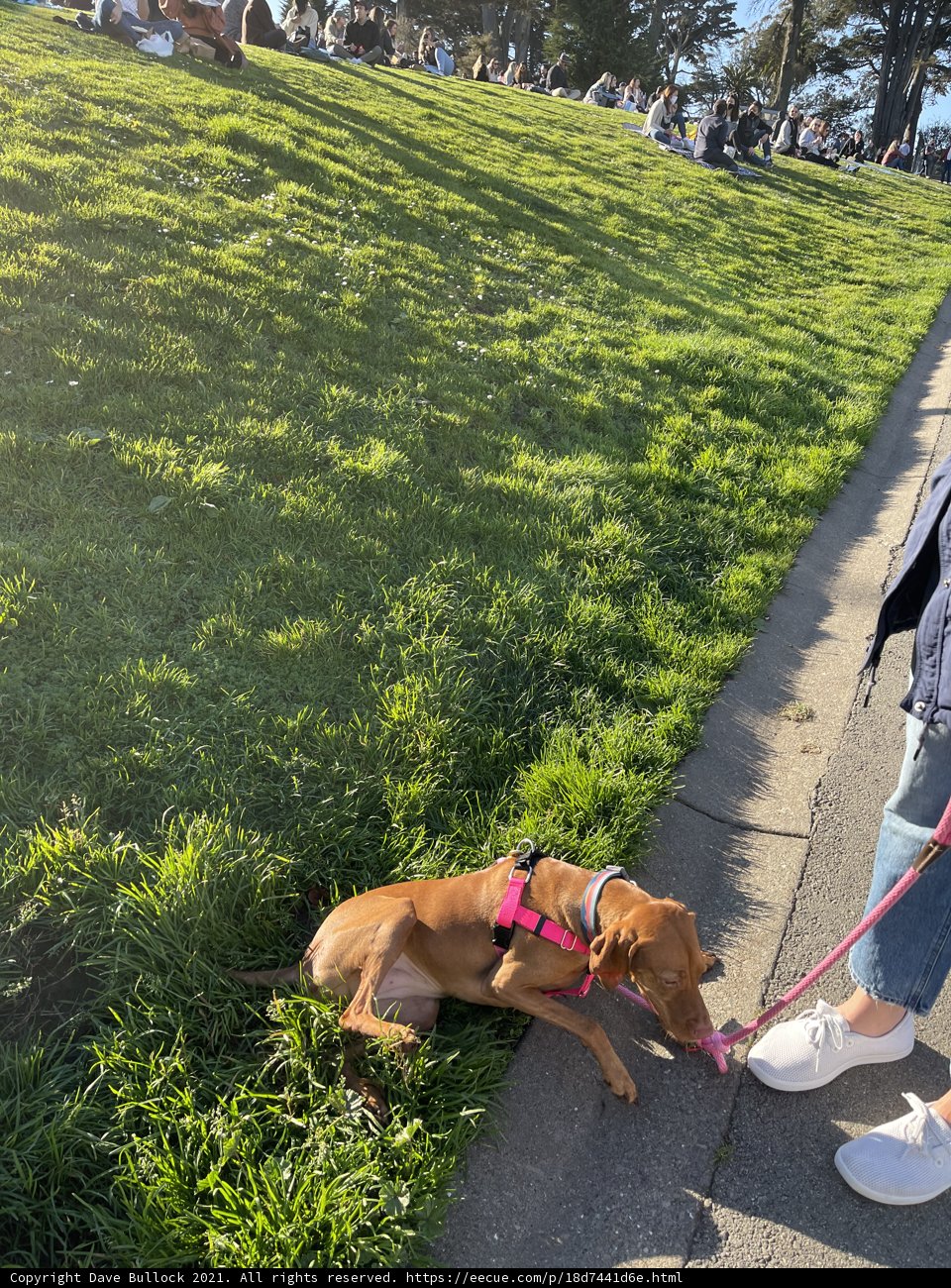 Bonding with My Best Friend