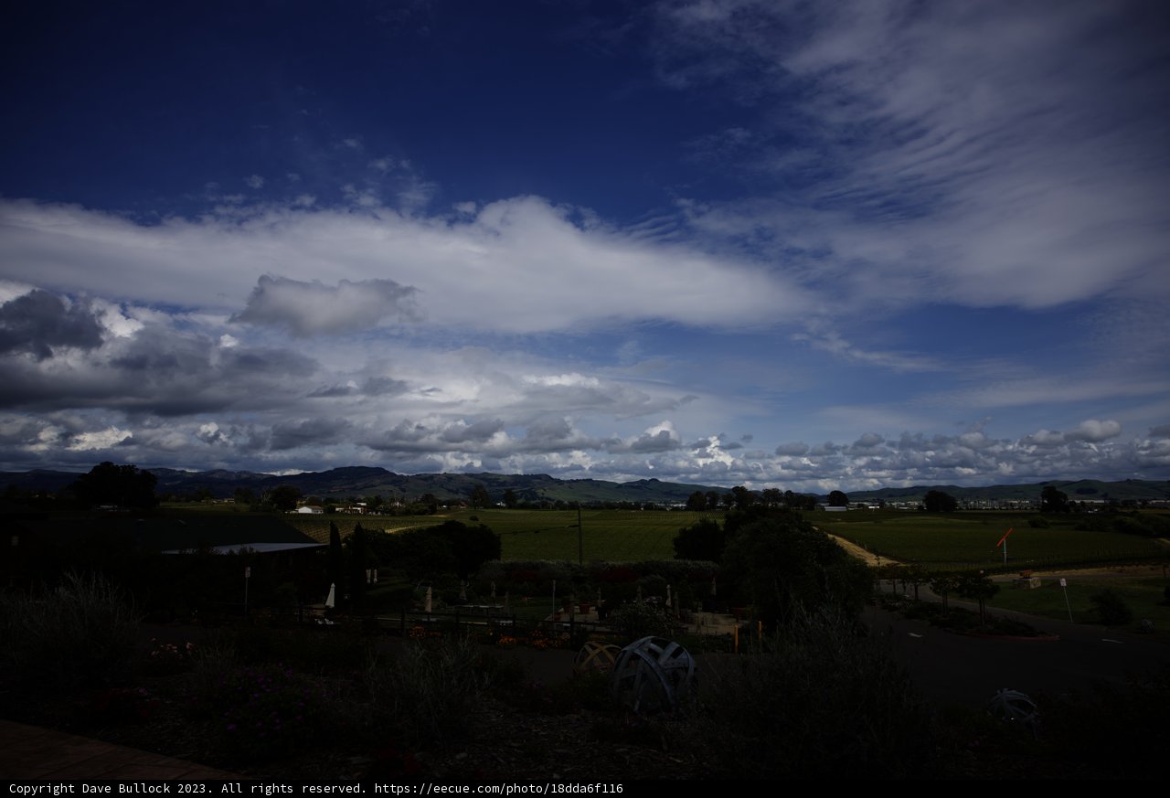 Serene View from Bouchaine Vineyards