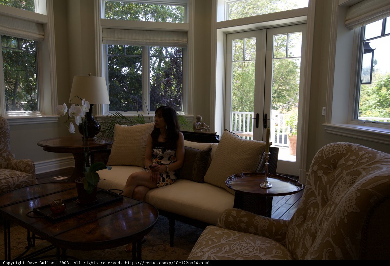 Comfortable Living Room Relaxation