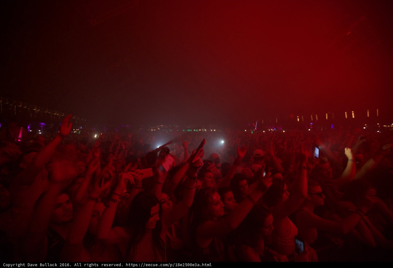 Lights and Cheers at Coachella