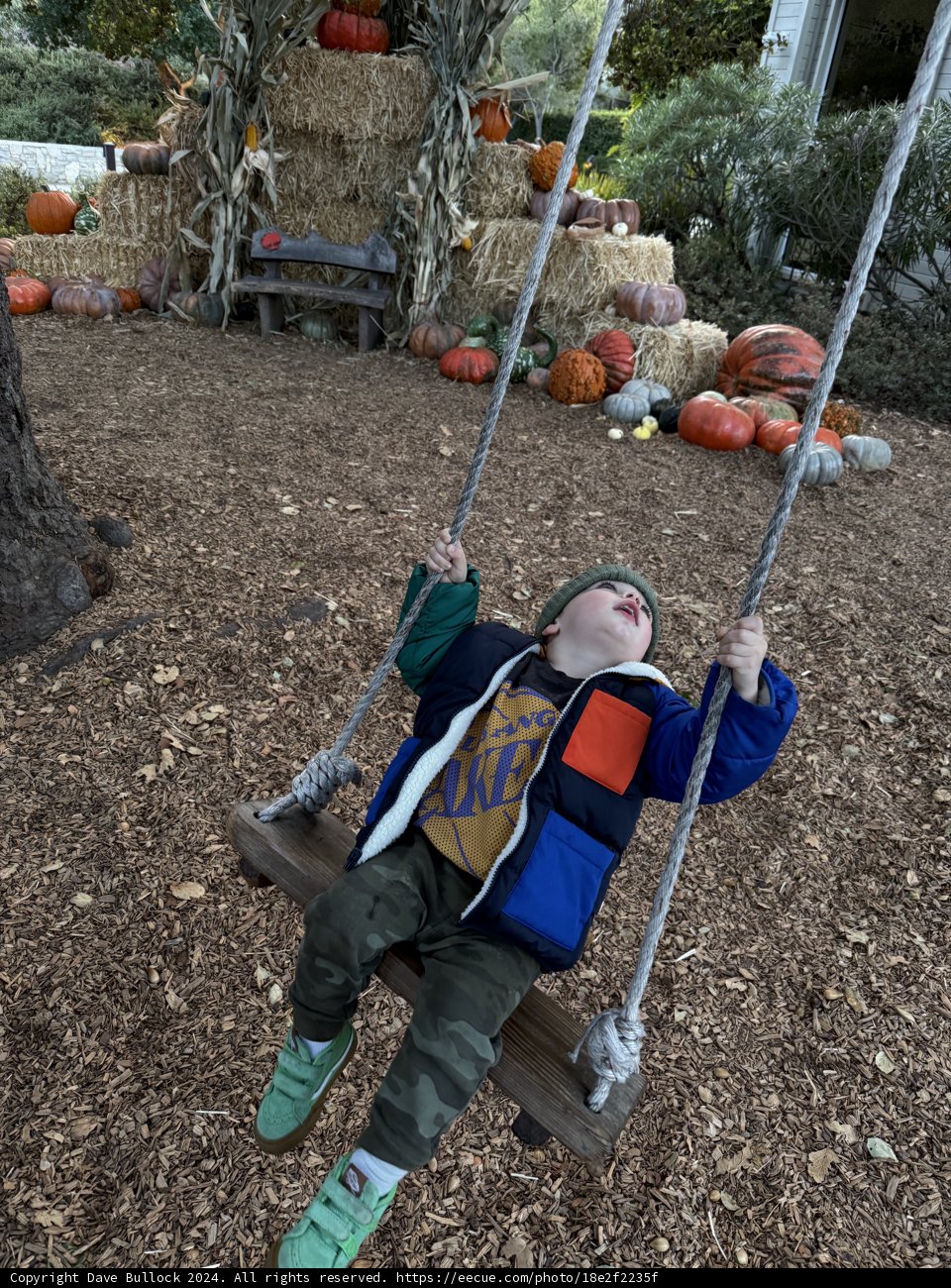 Autumn Adventures in Carmel