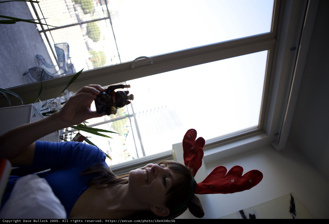 Reindeer Antlers and Christmas Joy Indoors