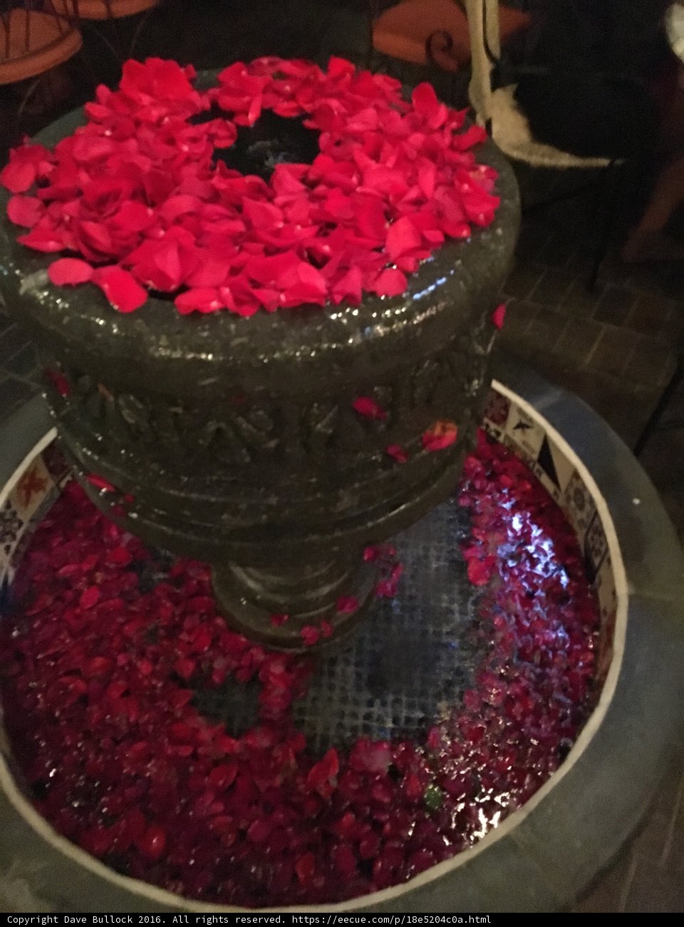 Rose Petals at the Fountain