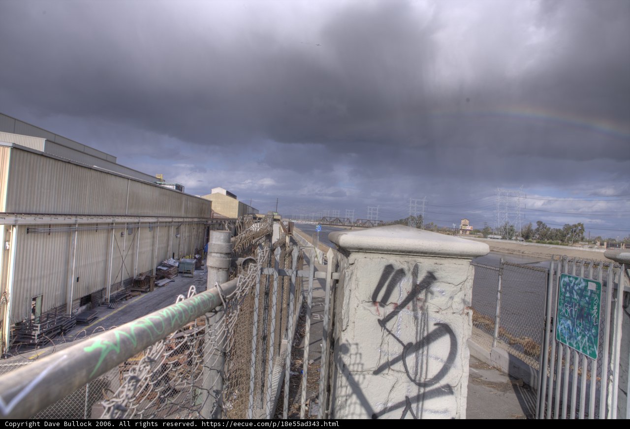 Rainbow over the Urban Jungle
